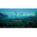 Endling - Extinction is Forever (Playstation 4)